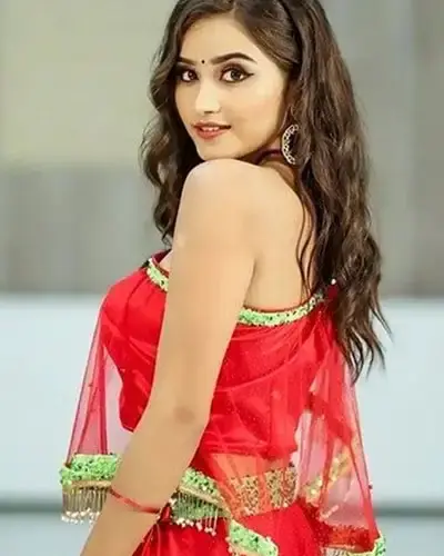 Escort In Ambikapur